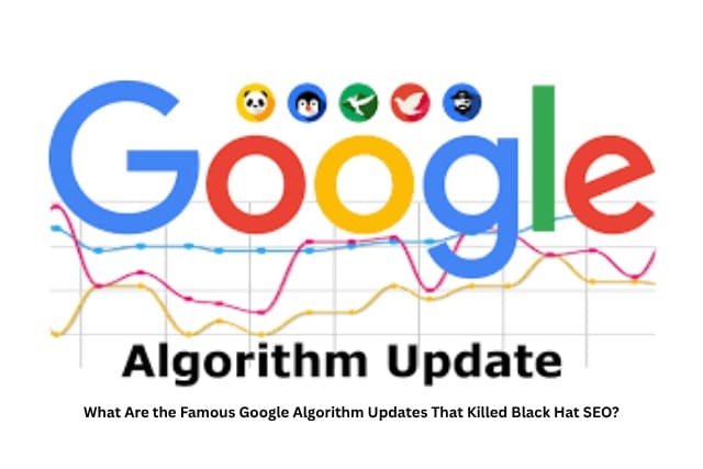 What Are the Famous Google Algorithm Updates That Killed Black Hat SEO?